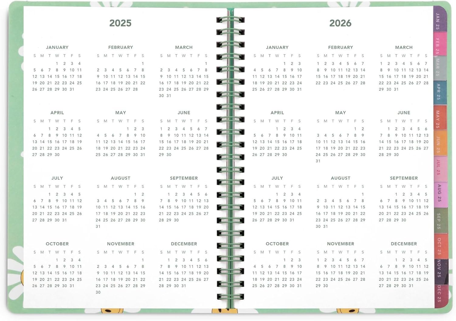 2025 Weekly and Monthly Planner, Daisy Smile